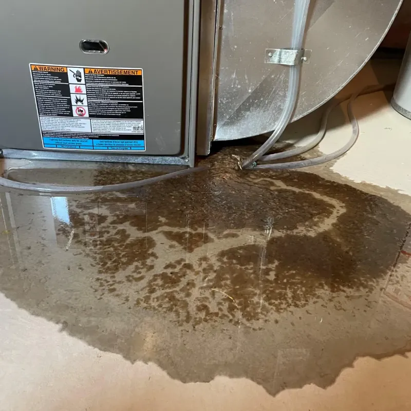 Appliance Leak Cleanup in Russell County, KY