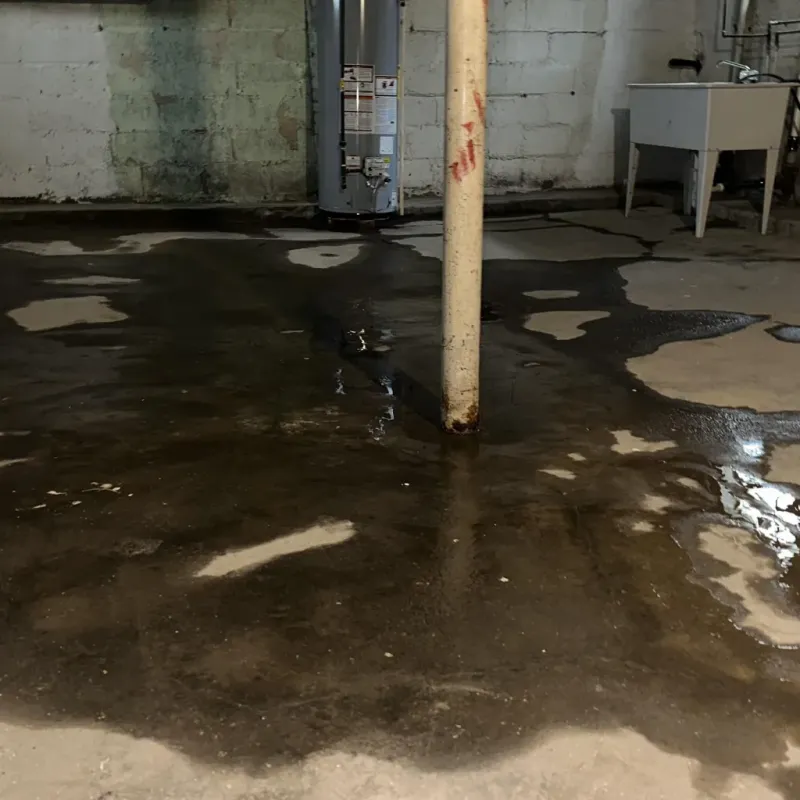 Emergency Water Extraction And Removal in Russell County, KY